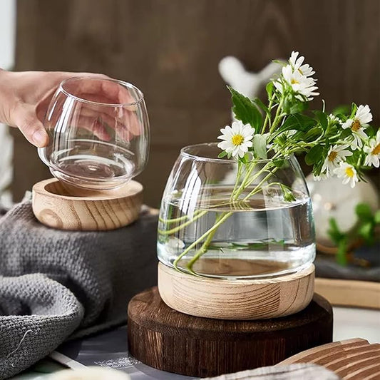 Fofetbfo Glass Hydroponic Plant Terrarium Unique Fish Bowl Aquarium with Wood Base Clear Glass Fish Tank Bowl for Plant and Betta Fish