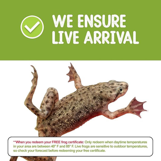 African Dwarf Frog Starter Kit- Includes Certificate for 2 Live Frogs- All-in-One Bundle with Book, Small Aquarium, Food, Instructions Now