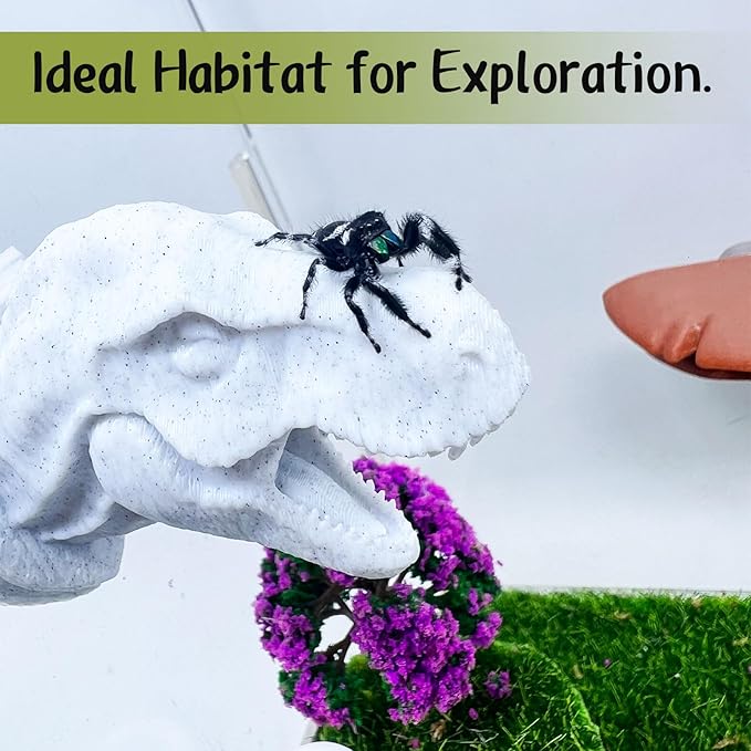 Daerky Jumping Spider Hide,3D Printed Dinosaur Head - A Fun Habitat for Jumping Spiders, Small Reptiles, and Small Pets, Suitable for Home Decor with Animal Enclosures (Marble Color)