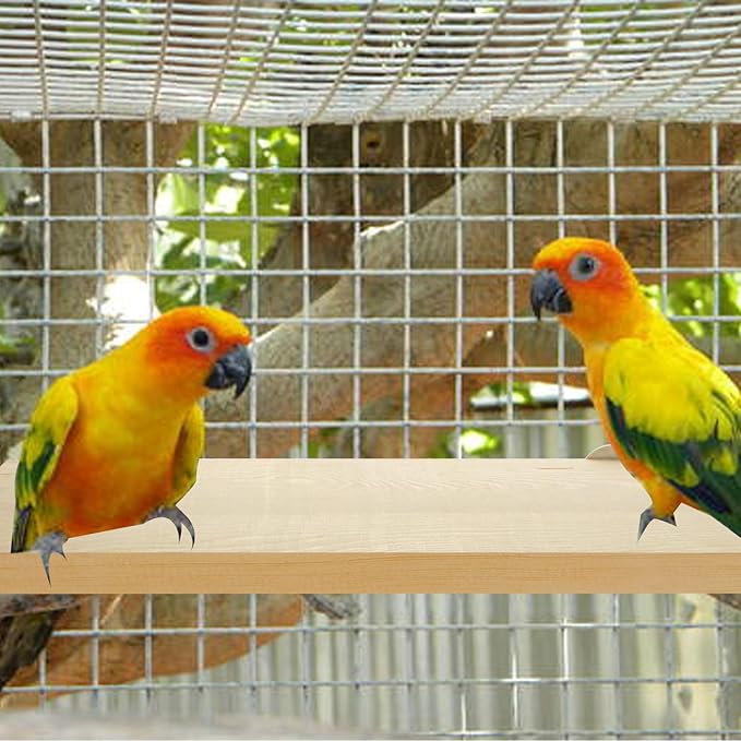 DIRBUY 4 Pack 5 x 12 Inches Bird Perches - Natural Wooden Flat Bird Perch - Rectangle Bird Perch Stand Platform for Parrot, Budgies, Parakeet, Cockatiels, Conure, Lovebirds