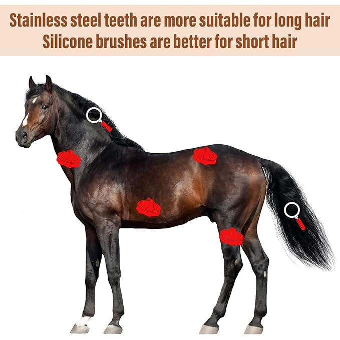 Reversible Stainless Steel Curry Comb with Large Rubber Brush for Grooming Horses, Dogs, Goats, Cattle, Cow, Donkey Supplies