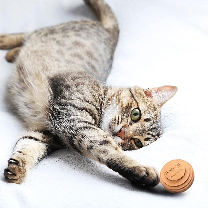Cat Ball Toys by Americat – Made in USA – Safe Cardboard Cat Toys – for Interactive and Independent Play, Exercise & Stress Relief for All Breeds & Ages (Pack of 3 Round Balls)