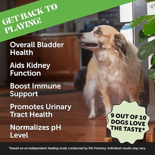 Cranberry Bladder Health for Dogs – Contains Active Ingredients - Cranberry & D-Mannose to Help Support Dog Urinary Tract Health, Dog Bladder Support, & Kidney Support for Dogs (Bacon)