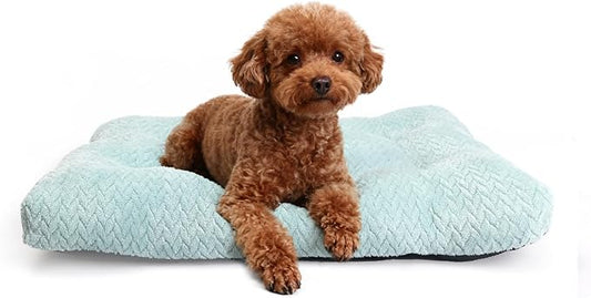 Washable Dog Crate Pad for Small Dogs, Anti-Slip Puppy Kennel Dog Bed for Crate,Flat Soft Fleece Sage Green Pet Mat 24" x 18"