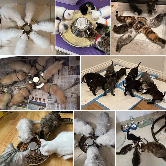 Stainless Steel Pet Bowl for Puppy and Cat, Dog Food and Water Feeding Bowl, Puppies and Kittens Weaning Bowls, Multiple Dogs and Cats Eat and Drink Together (2PC, S)