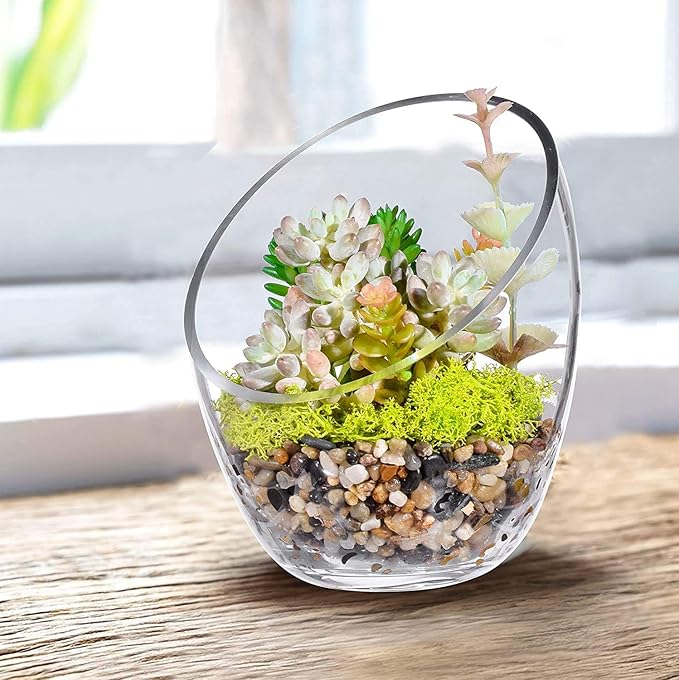 Clear Slant Cut Bubble Bowl, Fish Bowl & Plant Terrarium, Candy Jar Slant Cut Globe Vase Center Piece, Round Flower Vase, (6.9“ Tall .5.5“ Wide) …
