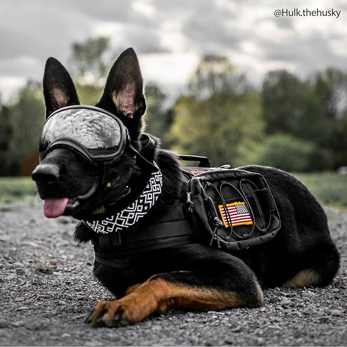 ONETIGRIS Dog Backpack for Medium & Large Dogs, Nylon Backpack for Dogs Tactical Pet Backpack with Side Pockets for Hiking Walking Training Running (Black, Medium)