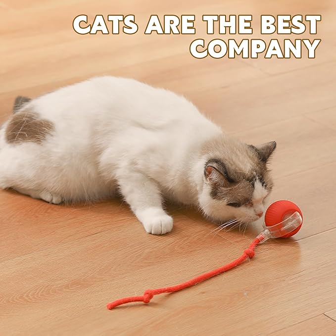 DVHNMK Chewie Viral 360 Smart Automatic Rolling Pet Ball (3 PCS) - Interactive Dog & Cat Toy