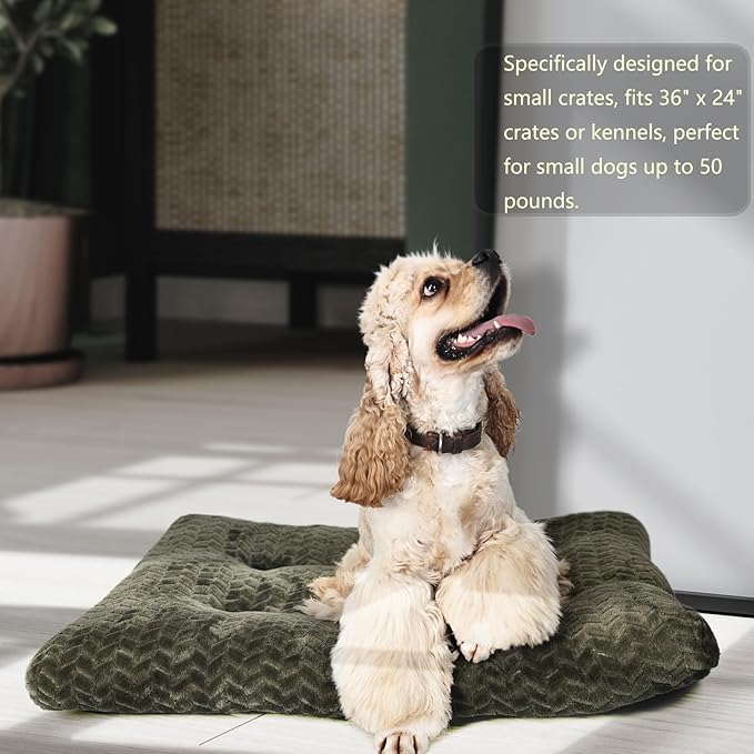 Necesitar 36inch Dog Crate Bed for Medium Large Dogs Washable Ultra Soft and Fluffy Kennel Pad with Anti-Slip Pet Pillow Cushion Sleeping Up to 70 lbs Pets,36x24 Olive Green