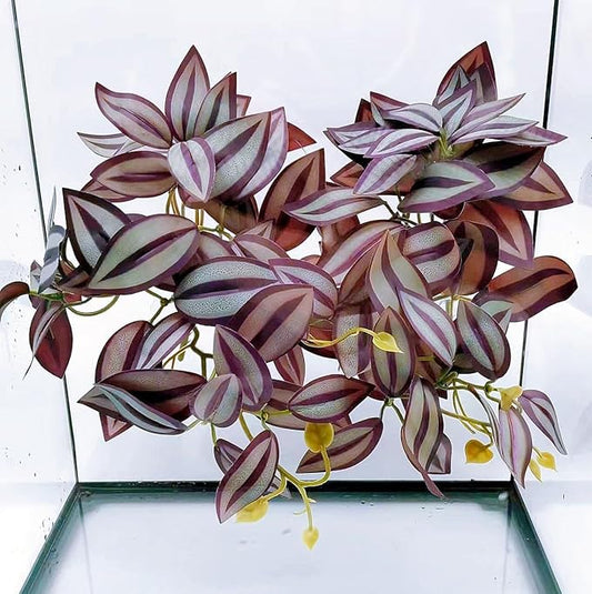 2Pack Reptile Fake Plants for Terrarium, Amphibian Habitat Decor Artificial Hanging Plants with Suction Cup, Artificial Leaves for Snake Tank Accessories.-Zebrina Purple