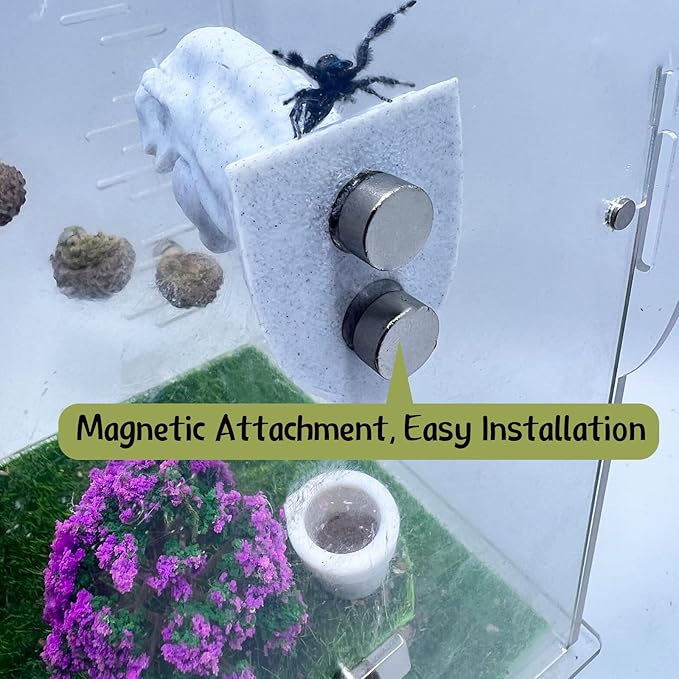 Daerky Jumping Spider Hide,3D Printed Dinosaur Head - A Fun Habitat for Jumping Spiders, Small Reptiles, and Small Pets, Suitable for Home Decor with Animal Enclosures (Marble Color)