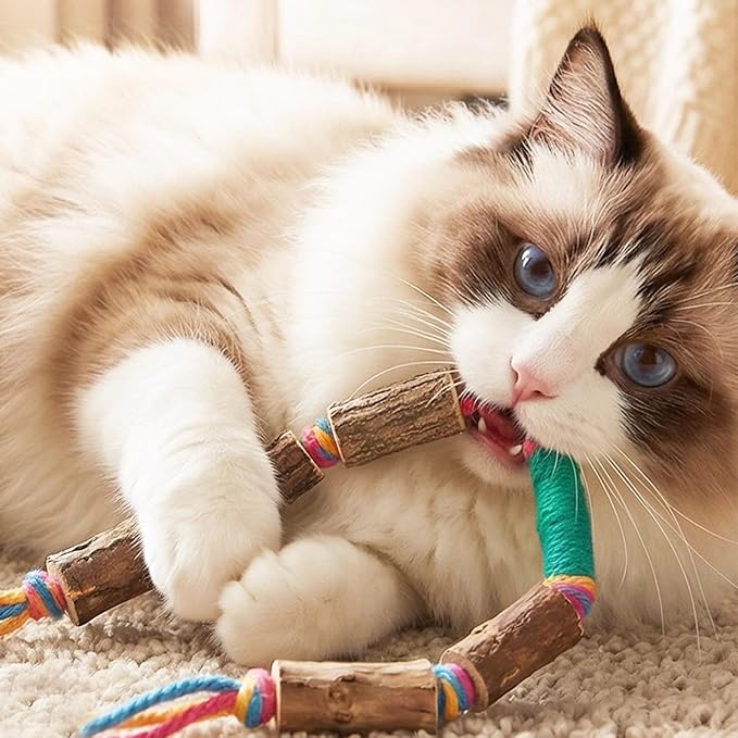 IUHKBH Cat Rope Toy, 2 PCS Colorful Chew Ropes with Silvervine Sticks and Refillable Natural Catnip Bag for Teeth Cleaning Safe Interactive Toy for Indoor Cat Kitten