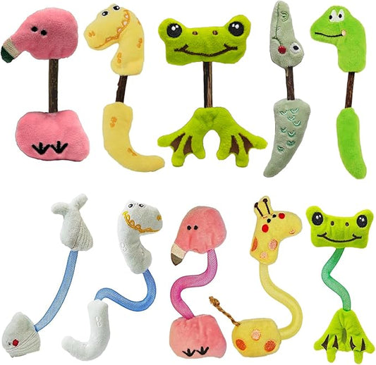 uyiixoxo Interactive Cat Toys Set, Silvervine Chew Sticks and Cat Spring Toy, Indoor Catnip Toys for Exercise and Dental Care, for Adult Cats and Kittens (10 Packs)