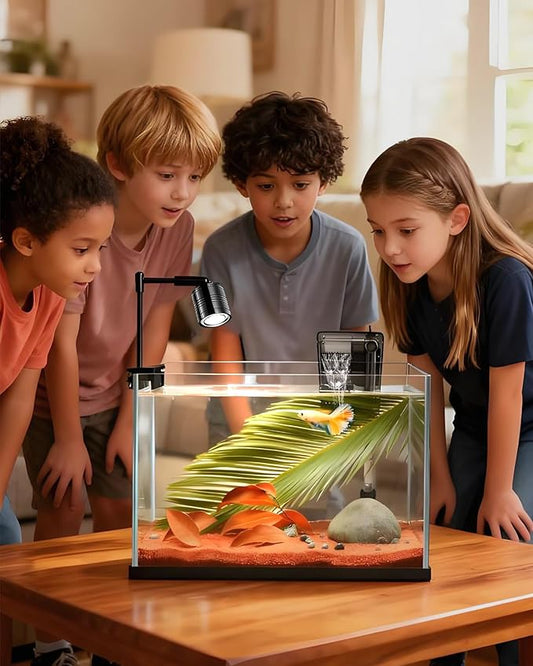 Fish Tank, 3 Gallon Ultra-Clear Glass Fish Aquarium, with Separator Plate for Betta, Fish Tank Starter kit with Filter and Adjustable Led Light, White