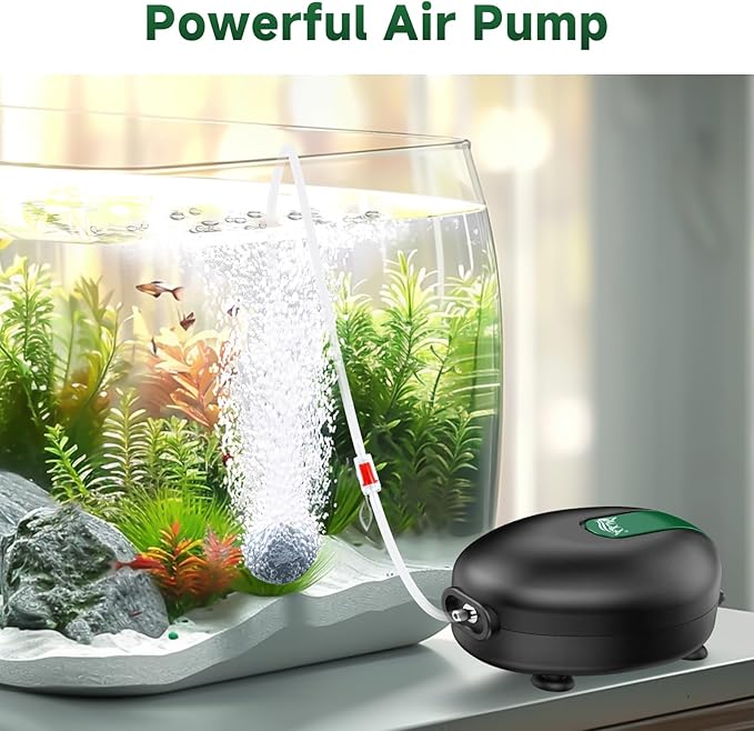 AQQA Aquarium Air Pump Quiet Fish Tank Aerator Pump Powerful Oxygen Pump Single Outlet Air Pump Bubbler with Air Stone Tubes Check Valves for Hydroponics Water Tank (2.5W for Up to 40 Gal Tank)