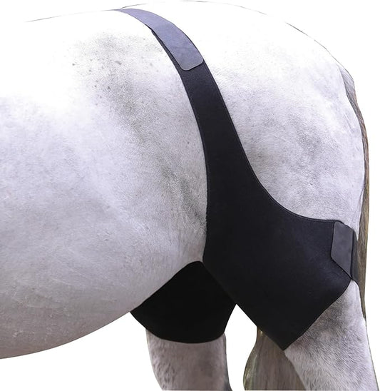 Dura-Tech Stifle Ice Wraps for Horses | Comprehensive Equine Relief | Optimal Compression & Comfort | Reusable Gel Inserts | Essential for Training & Arthritis