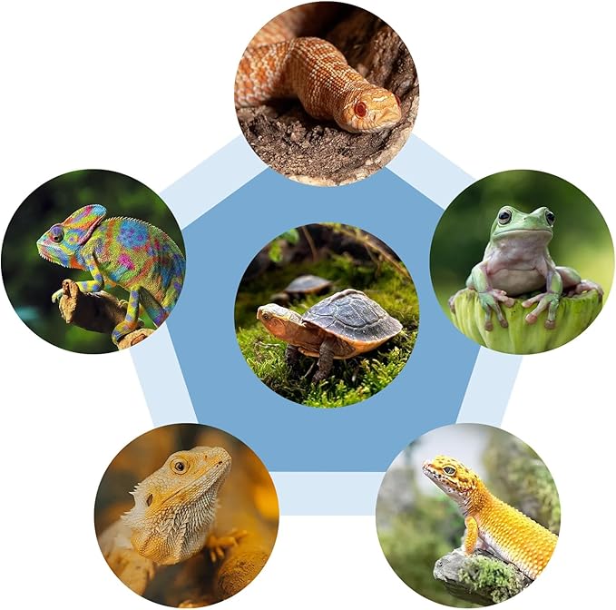 Turtle Tank Accessories, Heart-Shaped Slate Tile for Reptiles, Natural Rock Platform for Feeding & Basking, Aquarium Decor for Bearded Dragon, Tortoise, Gecko, Snake, Chameleon