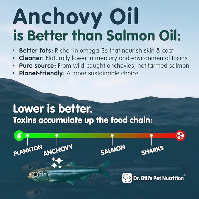 Dr. Bill's Canine Optimum Skin & Coat – Reduces Shedding, Itching, Dry Skin – Allergy Relief for Healthy Fur - Omega 3, Collagen, Biotin & Hyaluronic Acid – 680g Vet-Recommended Dog Supplement