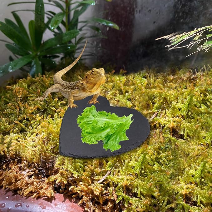 Turtle Tank Accessories, Heart-Shaped Slate Tile for Reptiles, Natural Rock Platform for Feeding & Basking, Aquarium Decor for Bearded Dragon, Tortoise, Gecko, Snake, Chameleon