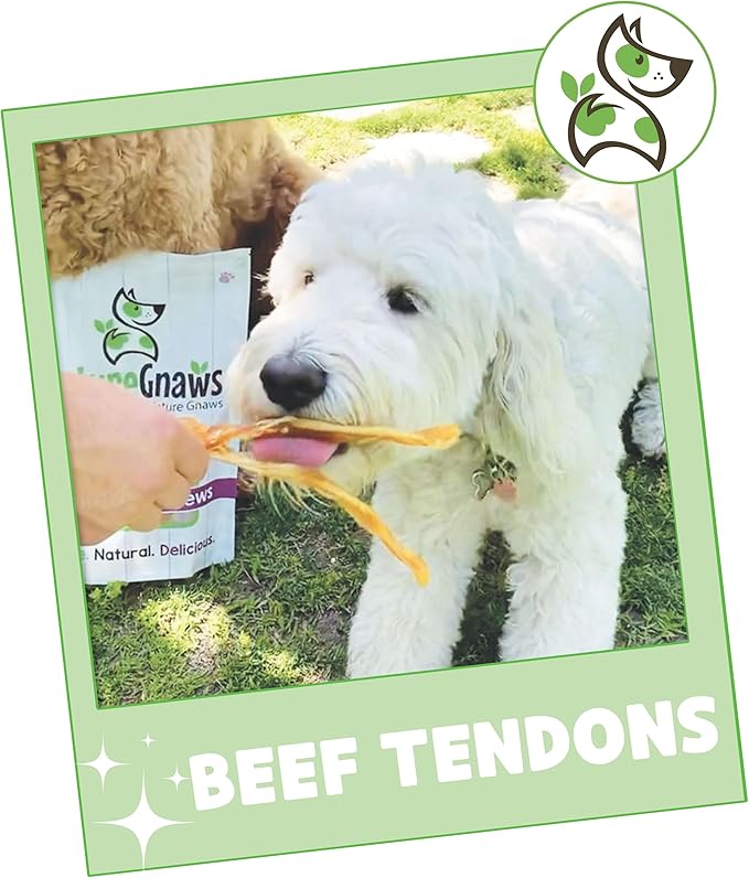Nature Gnaws Beef Tendons for Dogs (8oz) - Mixed Thickness - Long Lasting for Small and Medium Dogs - Natural Beef Jerky Dog Chew Bones - Rawhide Free