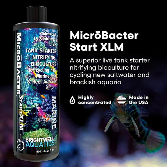 Brightwell Aquatics MicroBacter Start XLM - Concentrated Freshwater Nitrifying Bacteria - Quick Start Fish Tank Starter, Lift Microbe Levels & Water Filtering - Aquarium Water Treatments, 16.9 fl oz