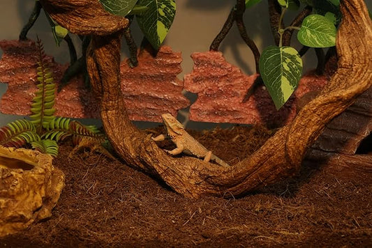 AQUA KT Reptile Twist Climber Vine Bendable Branch for Lizard Snake Bearded Dragon Crested Gecko Climbing Accessory Terrarium Habitat Decoration