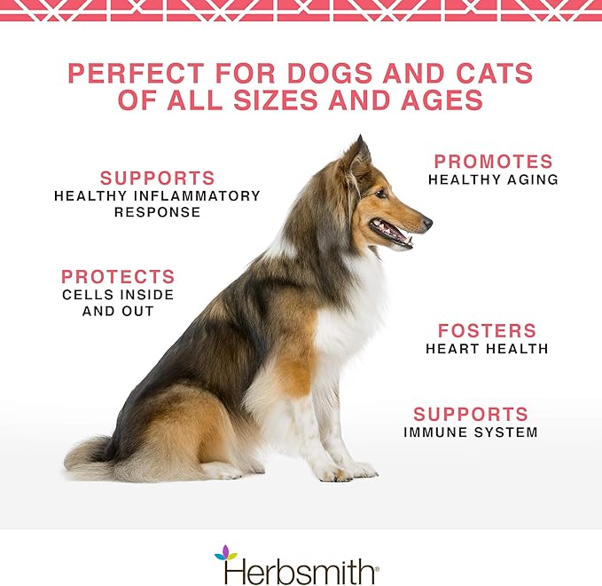 Herbsmith Pure Krill - Wild-Caught Antarctic Krill - Just 1 Ingredient - Astaxanthin for Dogs - Ready-to-Use Omega 3s – Alternative to Krill Oil for Dogs - 75g