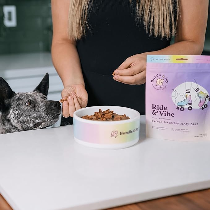 Bundle x Joy Ride & Vibe Salmon Jerky for Dogs - 5 Oz Bag, Natural Superfood - Corn, Poultry, Soy & Grain Free Salmon Dog Treats Made in USA Only