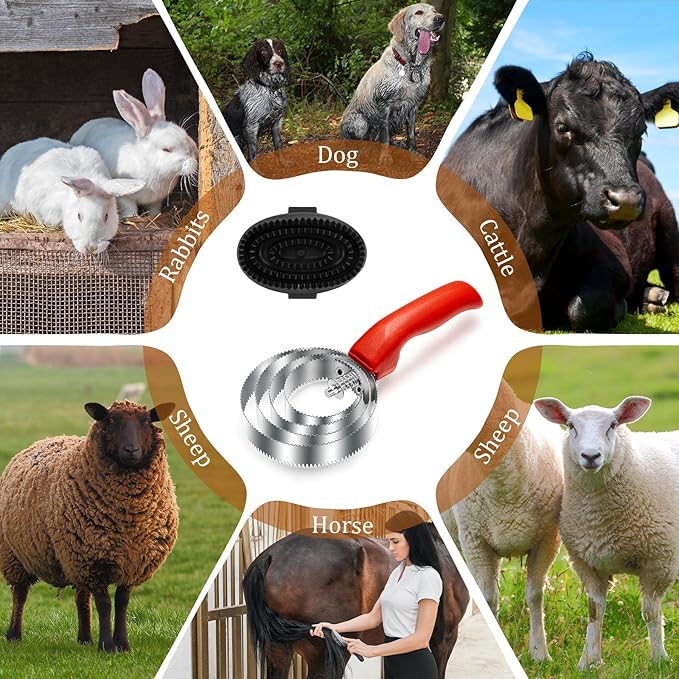 Reversible Stainless Steel Curry Comb with Large Rubber Brush for Grooming Horses, Dogs, Goats, Cattle, Cow, Donkey Supplies