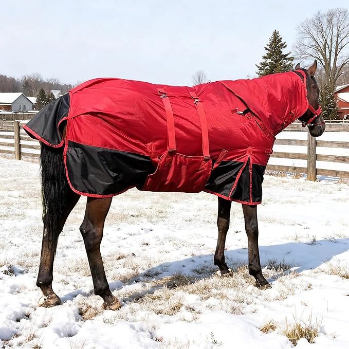 Winter Horse Blanket 1200D, Turnout Blanket Horse Rug with Belly Wrap Horse Coat Equine Blanket Medium Weight with 220G Filling Sheet with Turnout Neck Cover Detachable (Red, 145CM/78inch)