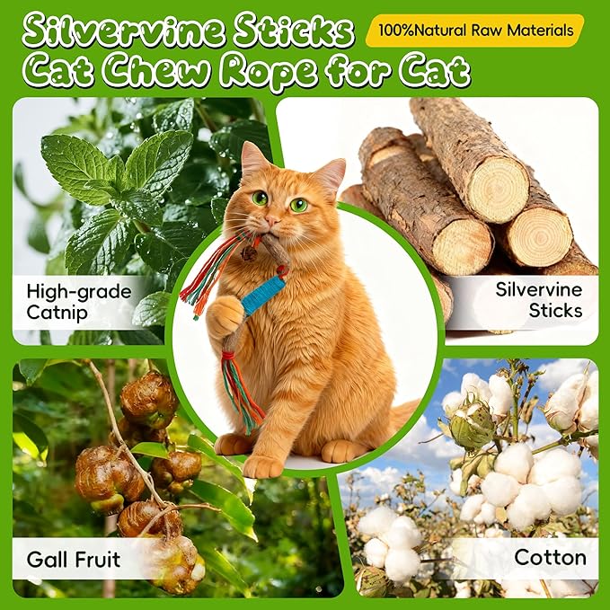 GBSYU Silvervine Sticks for Cats & Cat Chew Rope Toy with Refillable Natural Catnip Bag for Teeth Cleaning, Interactive Cat Catnip Toys for Indoor Cats, Kitten Teething Toys for All Breeds (12Pcs)