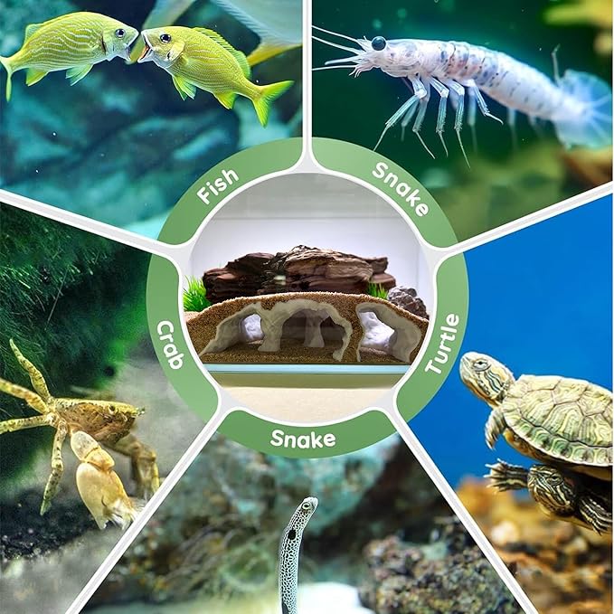 LIYAOLI Aquarium Ornaments Cave Tunnel with Viewing Ports | Fish Tank Decoration Hideout for Pleco, Shrimp & Corydoras | Substrate-Friendly Design & Sinking Base (S - White)