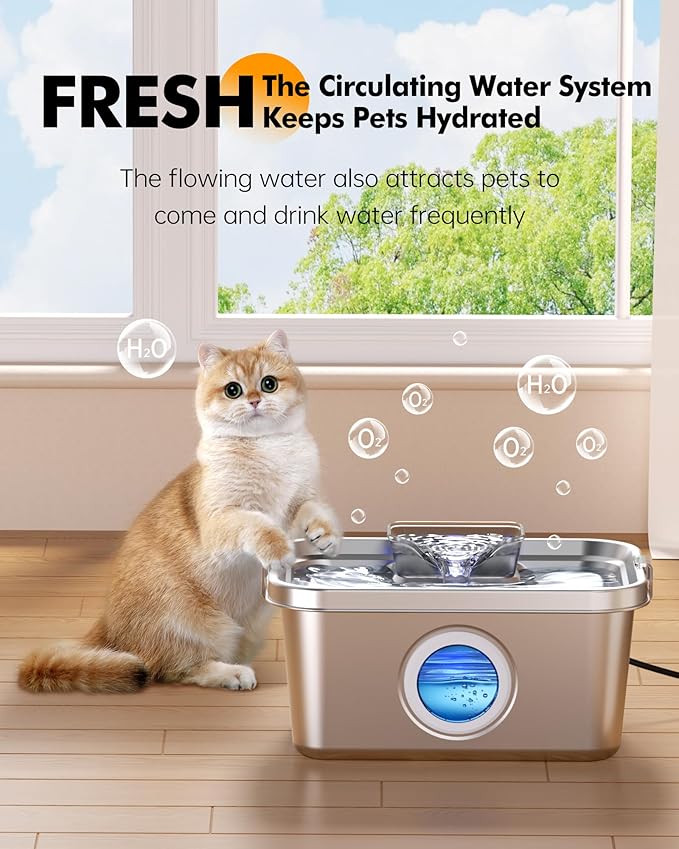 Cat & Dog Water Fountain, 2 Gallon 304 Food Grade Stainless Steel Pet Water Fountain, Ultra Quiet Dog Water Bowl Dispenser, Safety Lock, 3 Replacement Filters, Smart Water Pump Protection