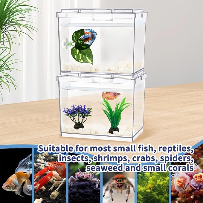 Mini Betta Fish Tank, Small Fish Bowl for Temporary Space, 0.2 Gallon Stackable Cube Tank with Artificial Plants and Gravels for Small Fish, Insect, Shrimp, Crab, Spider.(Pack-2)