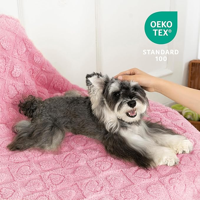 gogobunny Calming Plush Dog Cat Blanket 300GSM Coral Fleece, Ultra-Soft Machine Washable Pet Bedding for Small Medium Dogs Cats Puppies Kittens (Pink, 50x60)
