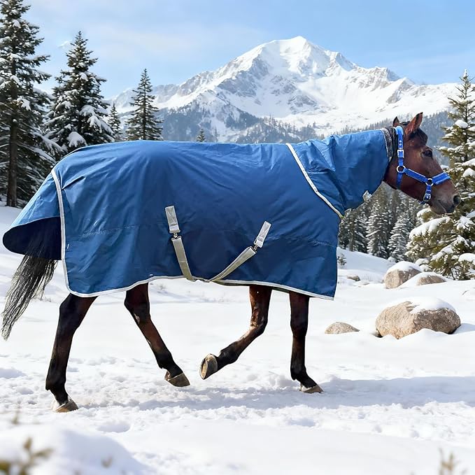 Winter 1200D Premium Turnout Horse Blanket,Medium Weight Waterproof Blanket (Back Length 72 inches (135cm) with Cover)