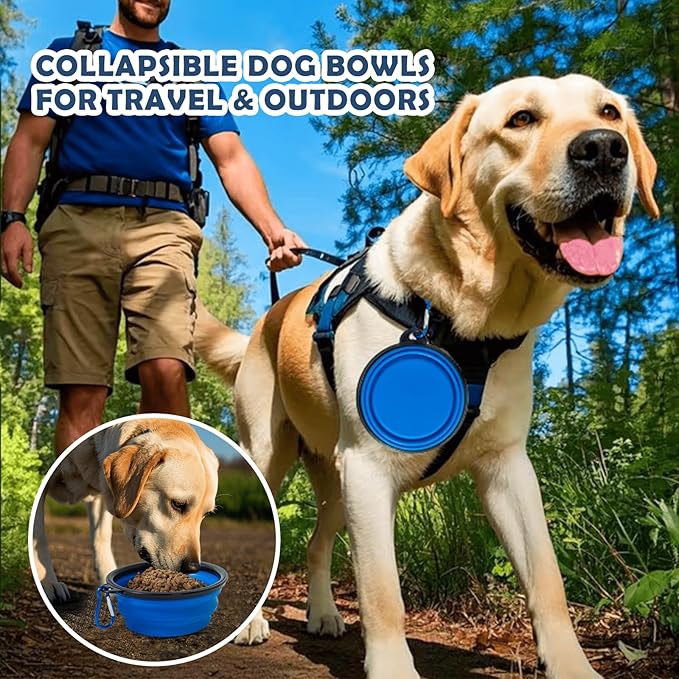 24 Inch Portable Collapsible Dog Crate, Travel Pet Crate with Soft Warm Blanket and Foldable Bowl for Small Dogs and Large Cats Indoor and Outdoor