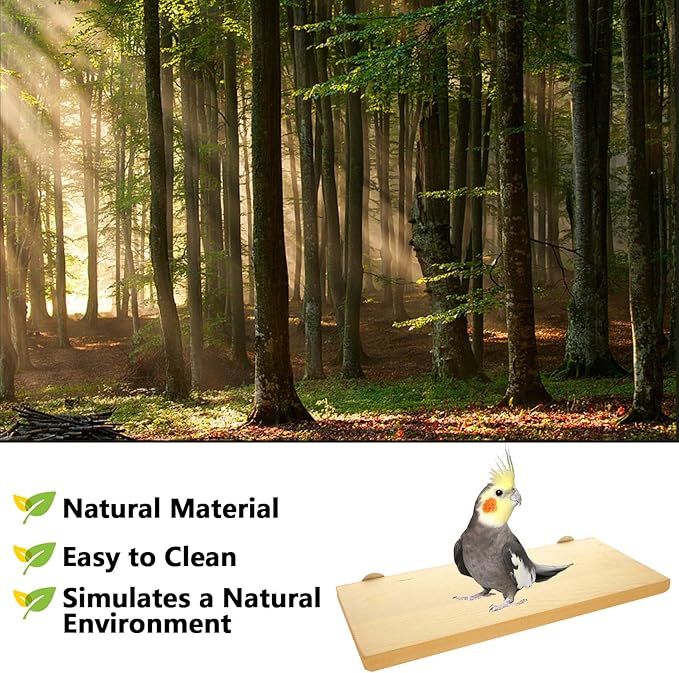 DIRBUY 4 Pack 5 x 12 Inches Bird Perches - Natural Wooden Flat Bird Perch - Rectangle Bird Perch Stand Platform for Parrot, Budgies, Parakeet, Cockatiels, Conure, Lovebirds