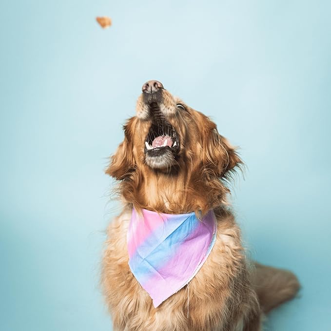 Bundle x Joy Ride & Vibe Salmon Jerky for Dogs - 5 Oz Bag, Natural Superfood - Corn, Poultry, Soy & Grain Free Salmon Dog Treats Made in USA Only