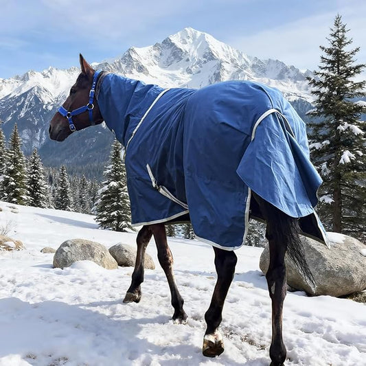 Winter 1200D Premium Turnout Horse Blanket,Medium Weight Waterproof Blanket (Back Length 78 inches (145cm) with Cover)