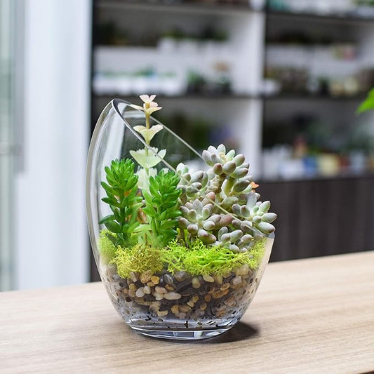 Clear Slant Cut Bubble Bowl, Fish Bowl & Plant Terrarium, Candy Jar Slant Cut Globe Vase Center Piece, Round Flower Vase, (6.9“ Tall .5.5“ Wide) …