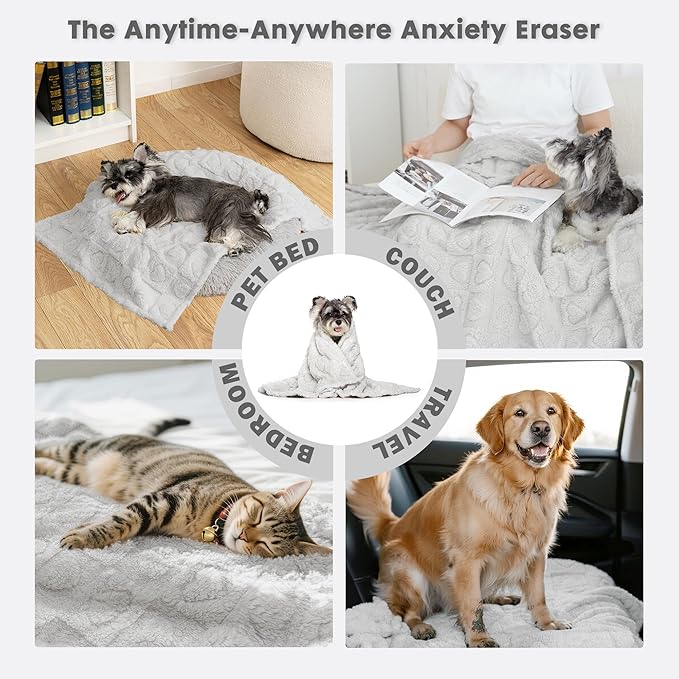 gogobunny Calming Plush Dog Cat Blanket 300GSM Coral Fleece, Ultra-Soft Machine Washable Pet Bedding for Small Medium Dogs Cats Puppies Kittens (Silver, 30x40)