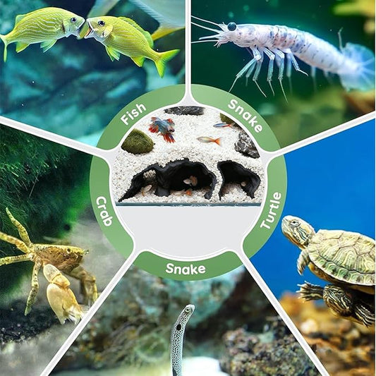 LIYAOLI Aquarium Ornaments Cave Tunnel with Viewing Ports | Fish Tank Decoration Hideout for Pleco, Shrimp & Corydoras | Substrate-Friendly Design & Sinking Base