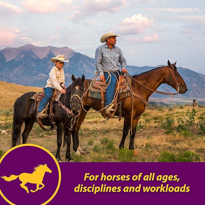 Farnam Horse Health Red Cell Pellets, Vitamin-Iron-Mineral Supplement for Horses, Helps Fill Important Nutritional Gaps in Horse's Diet, 4 lbs., 64-Day Supply (Pack of 4)