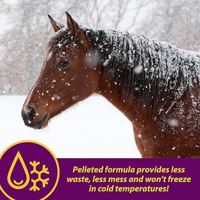 Farnam Horse Health Red Cell Pellets, Vitamin-Iron-Mineral Supplement for Horses, Helps Fill Important Nutritional Gaps in Horse's Diet, 4 lbs., 64-Day Supply (Pack of 4)